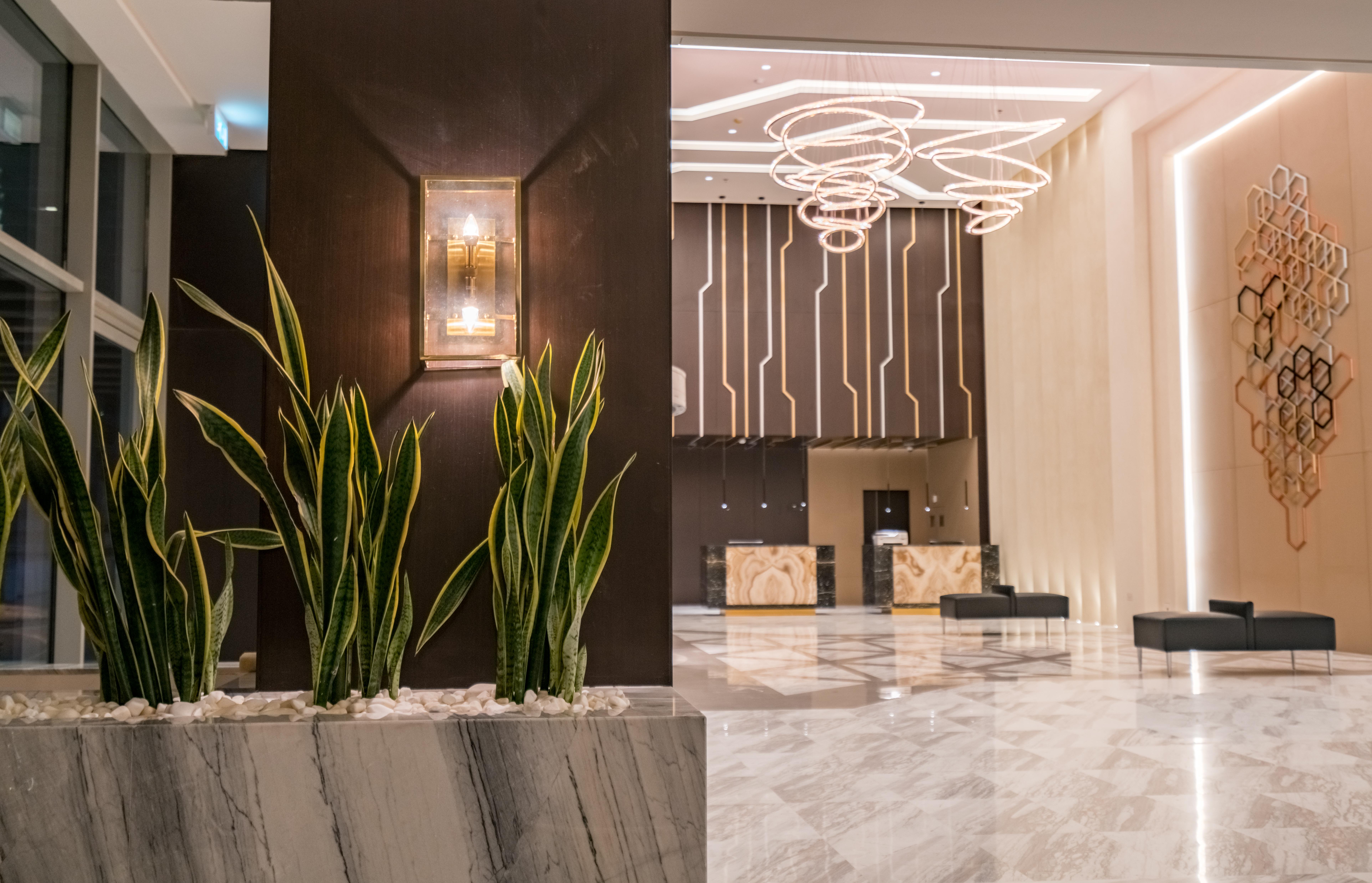Solymar & Hotel 5*